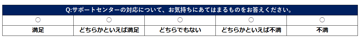 設問例(5段階)